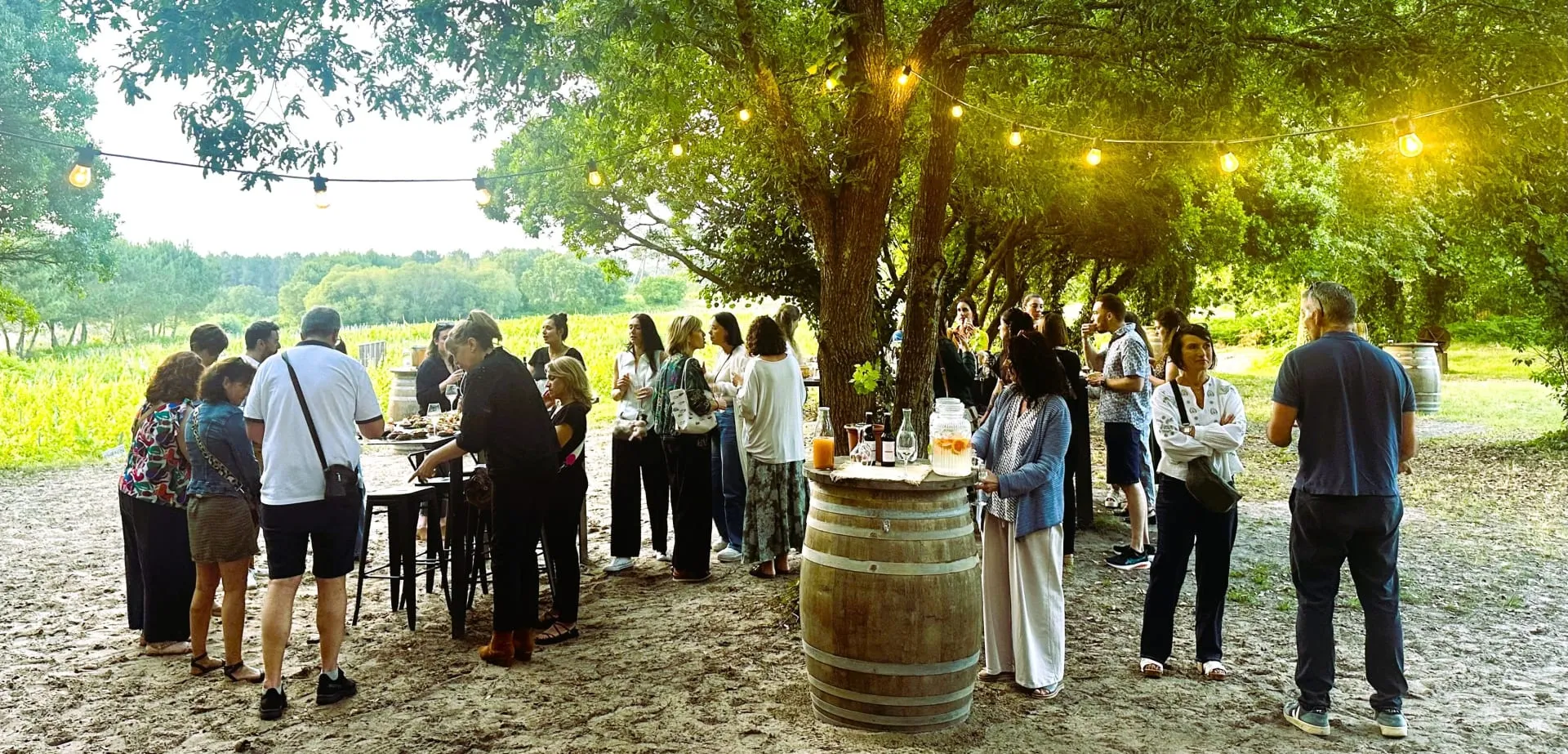 Afterwork en plein air sous les guirlandes, en bordure de vignes